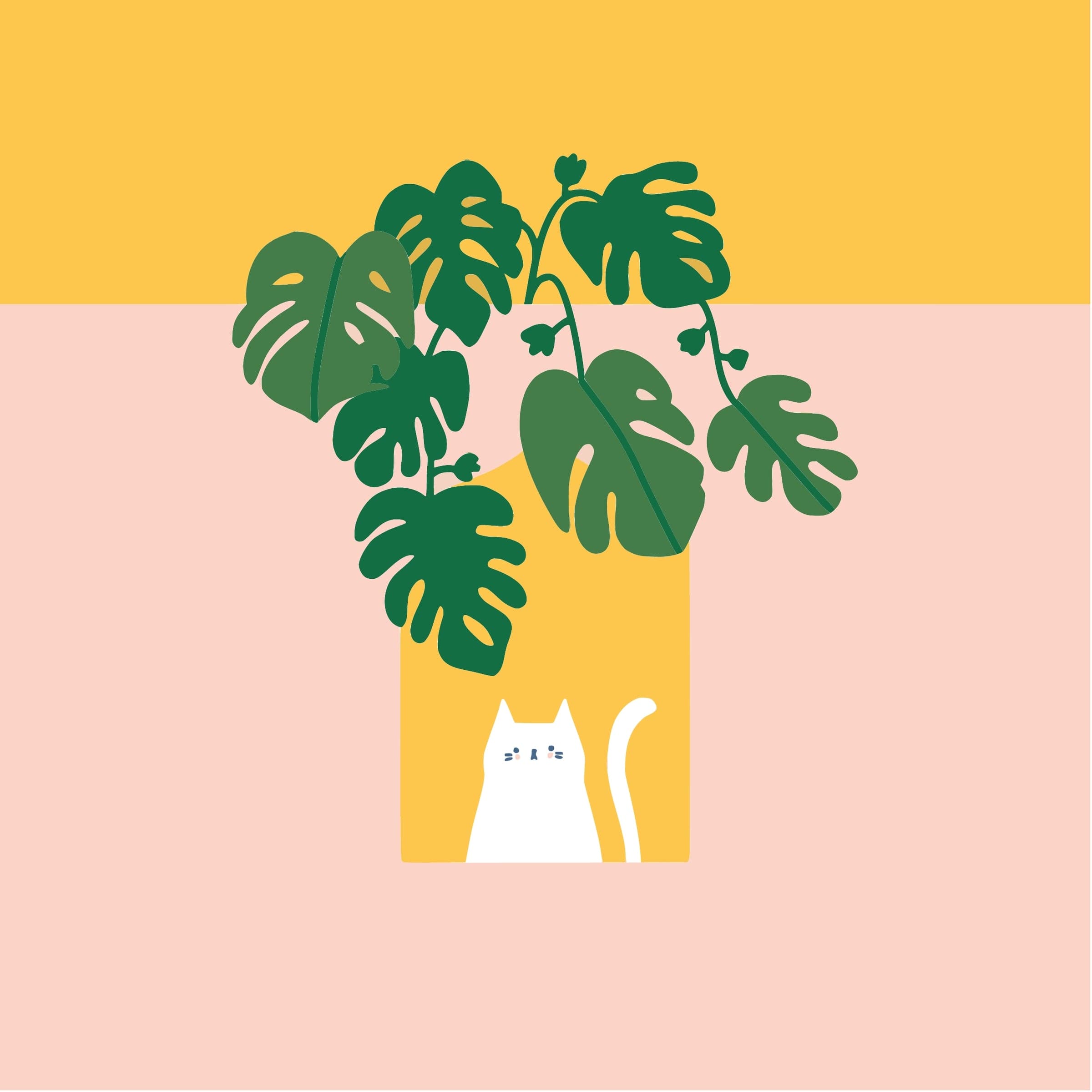 Monstera & Meow Mini Kit